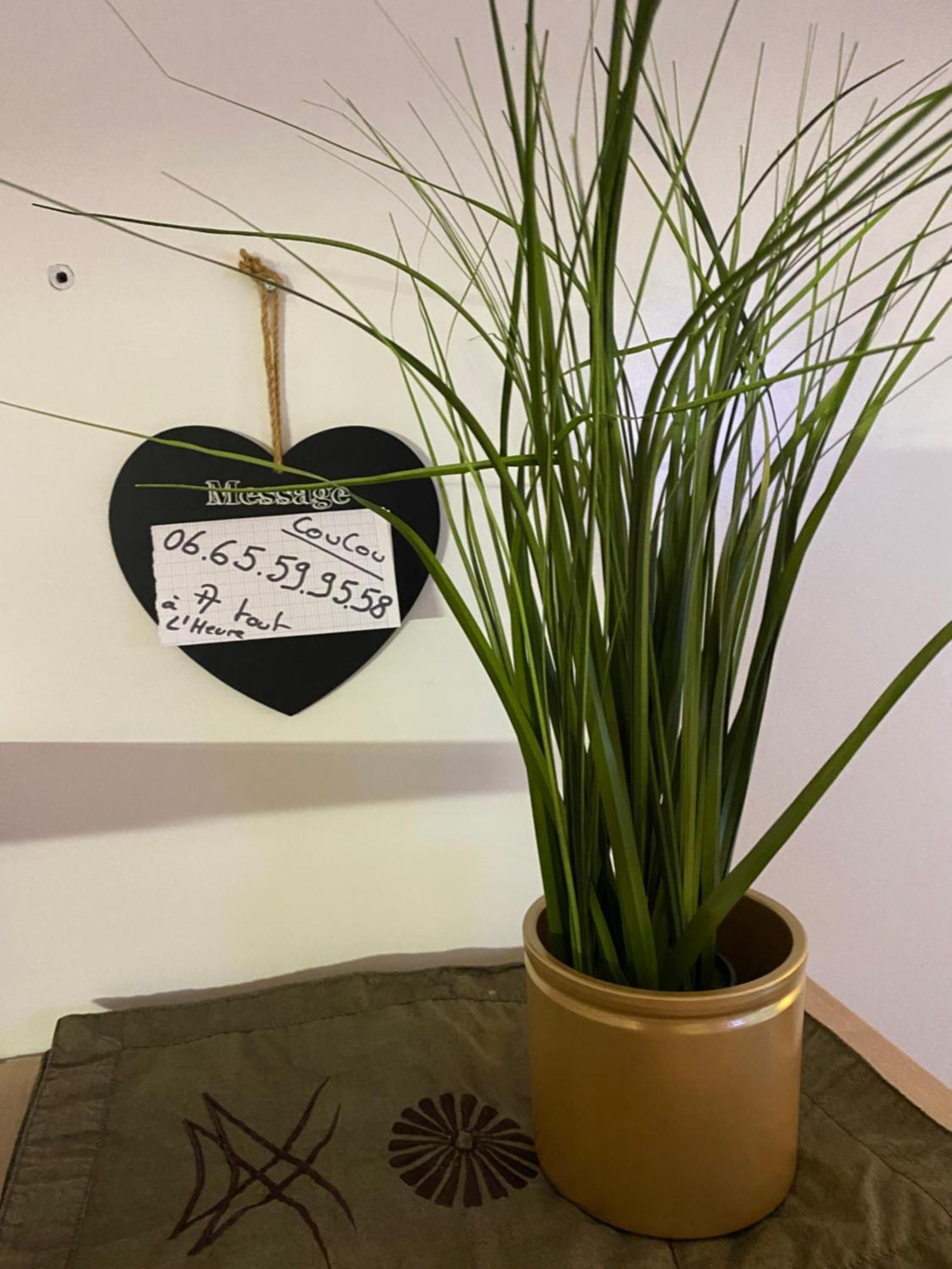 3 Mns De La Avec Jardin Classe 3 Etoiles